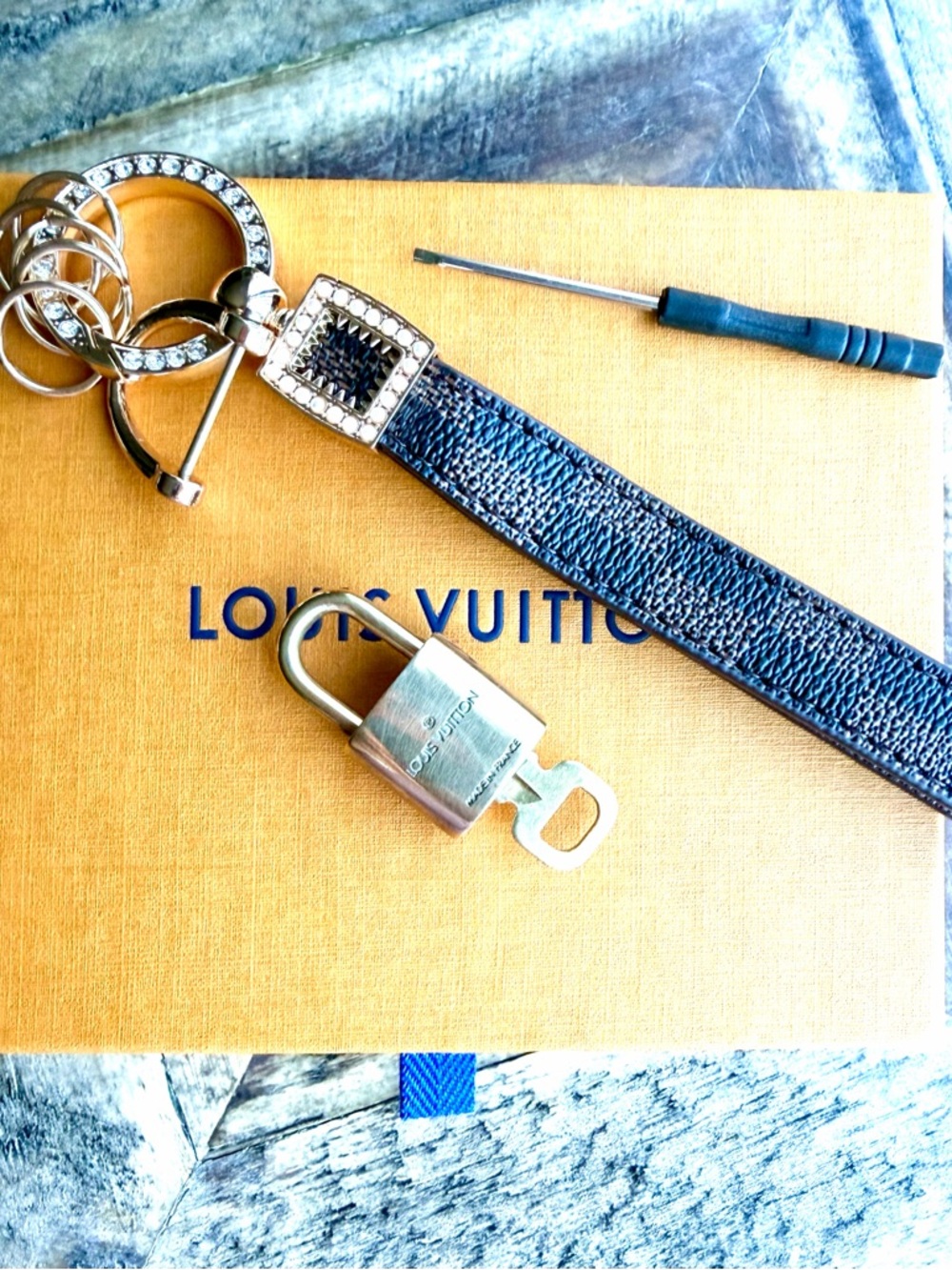 Louis Vuitton Lock & Key #310 with Fashion Keyholder